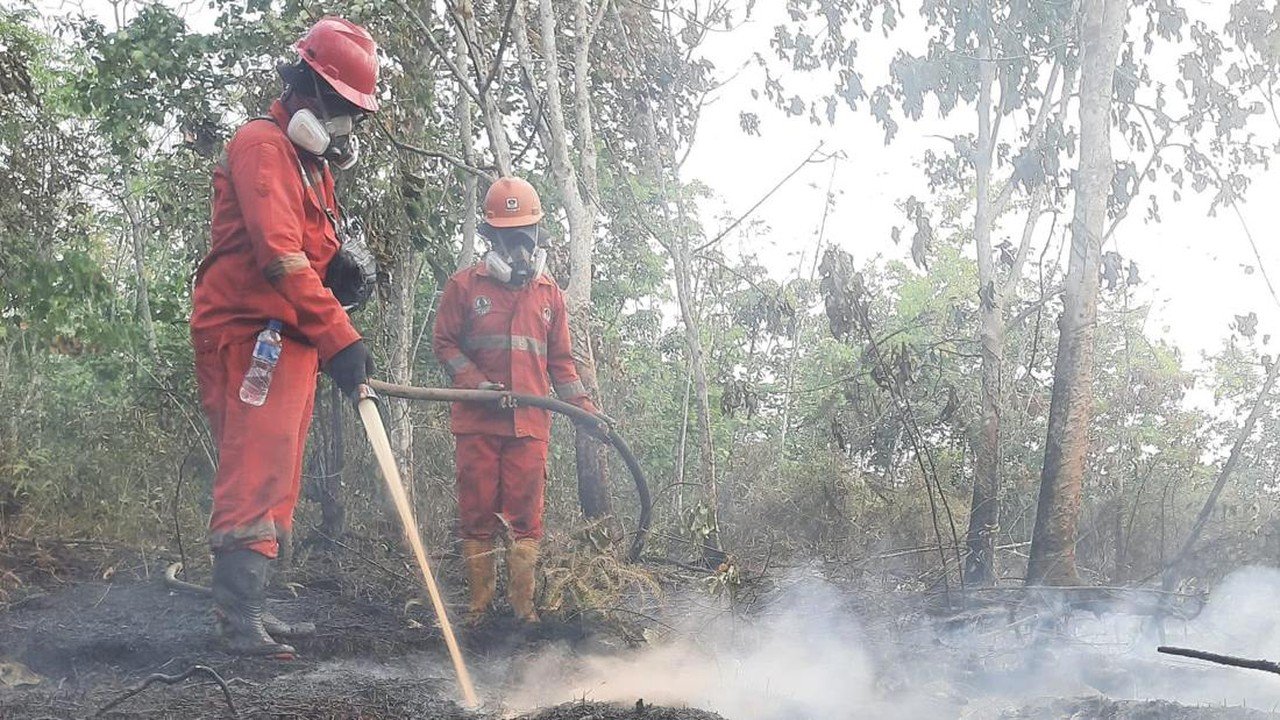 Pemerintah Tingkatkan Penanganan Karhutla Kalteng: Modifikasi Cuaca & Armada Udara Tambahan