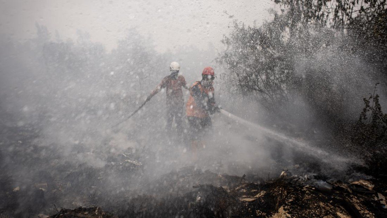 209 Hektare Lahan Terbakar di Kalimantan Belum Padam, Jarak Pandang Jadi Kendala Utama