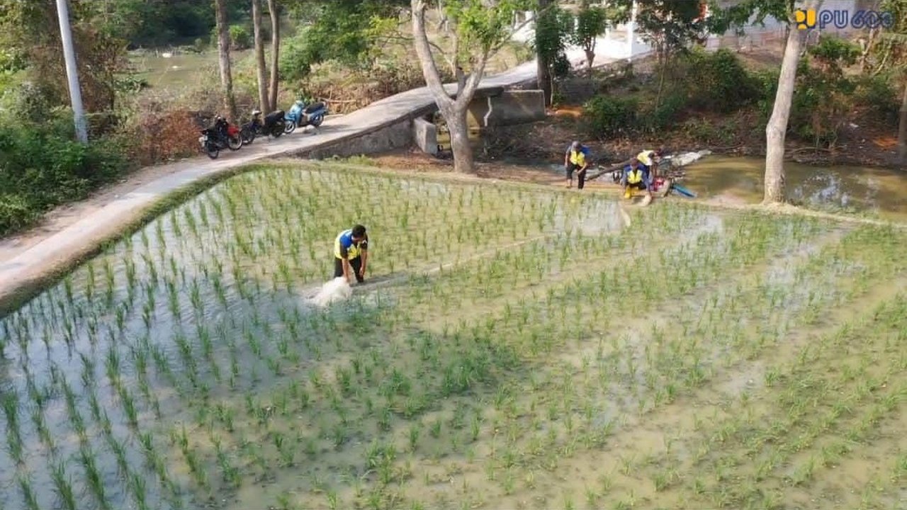 Atasi Kekeringan, KemenPUPR Kerahkan 10 Pompa untuk Sawah Karawang