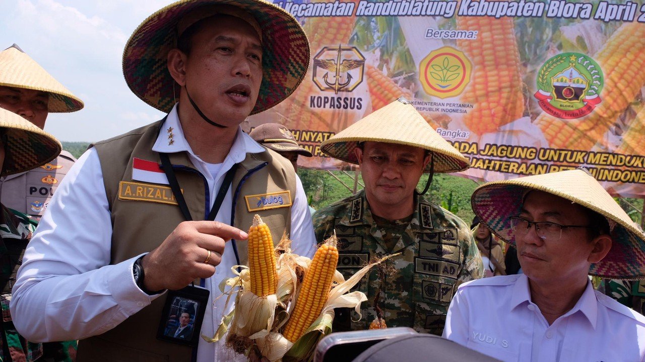 BULOG Siapkan 150 Ribu Ton Jagung Tambahan untuk Peternak Hingga Akhir 2026