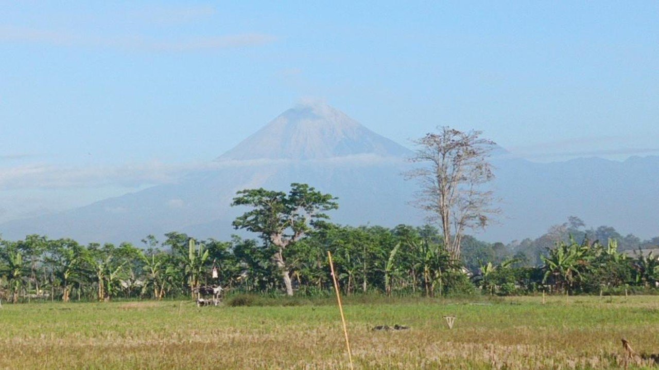 Gunung Semeru Erupsi 30 Kali dalam 6 Jam, Disertai Dentuman Keras