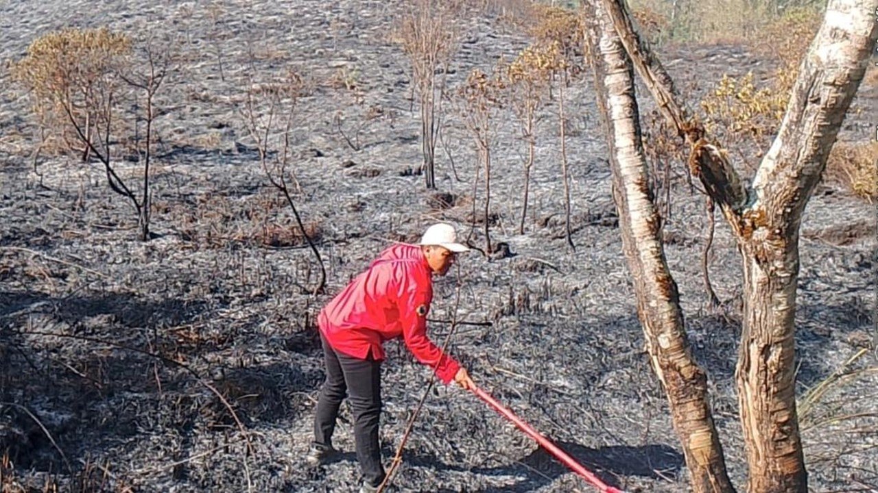 Karhutla Gunung Rinjani Meluas, 977 Hektare Terbakar Akibat Angin Kencang