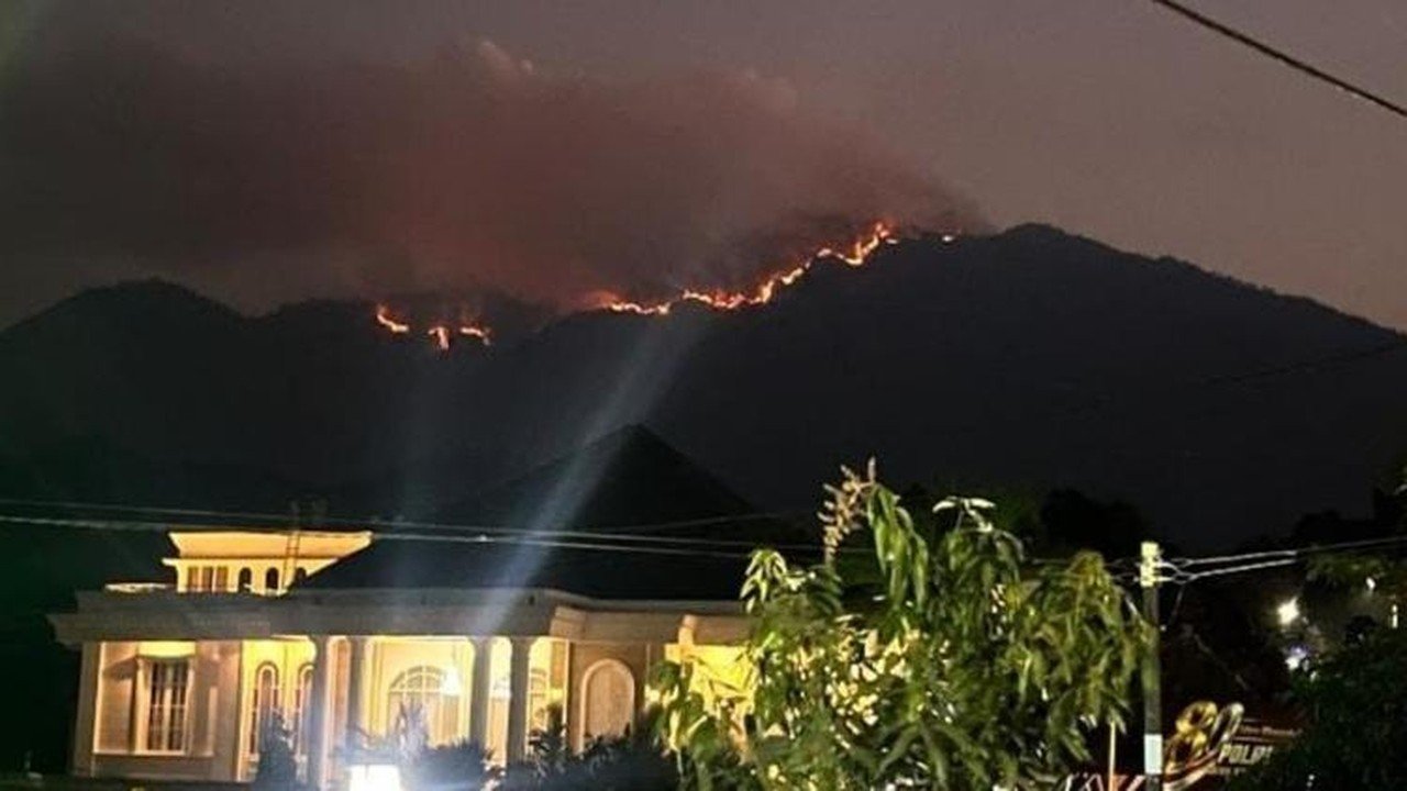 Kebakaran Gunung Wilis Meluas, 29 Titik Panas Terdeteksi di Tiga Kabupaten