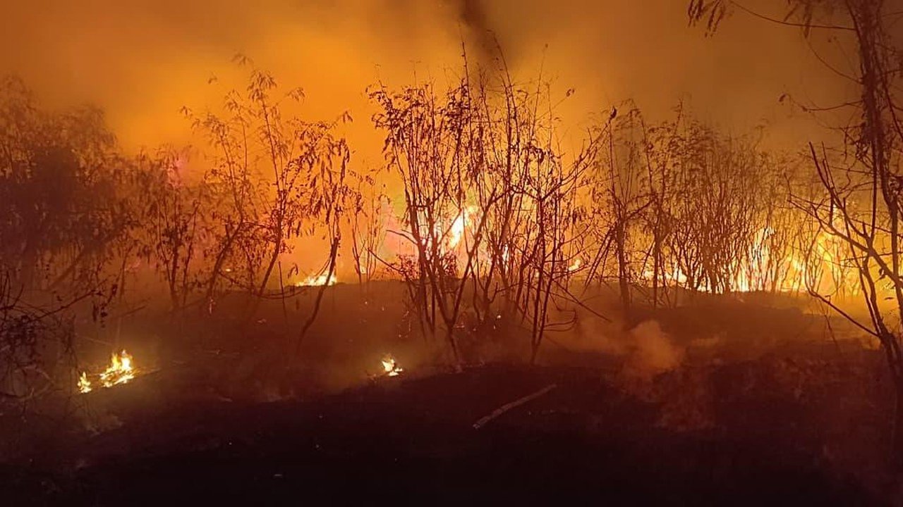 Kebakaran Ilalang Landa Kedoya Jakarta Barat, Damkar Berjibaku Padamkan Api