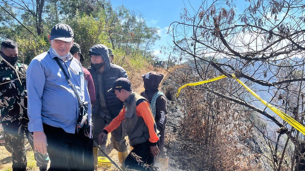 Kemenhut Bentuk Tim Khusus Usut Tuntas Dugaan Pidana Kebakaran Bromo