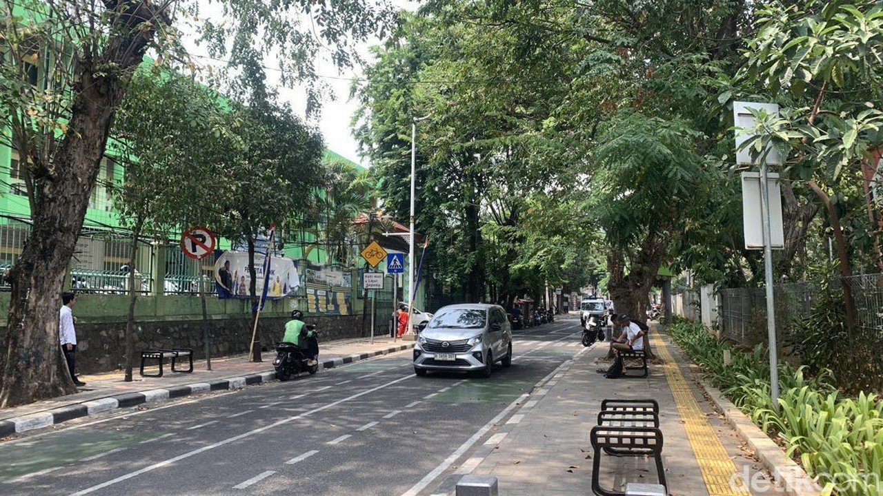 Monyet Liar di Tebet Telah Diadopsi, Pemilik Ungkap Alasannya