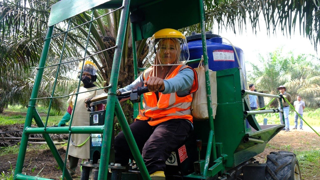 Perempuan Solok Selatan: Pilar Keluarga dari Perkebunan Sawit