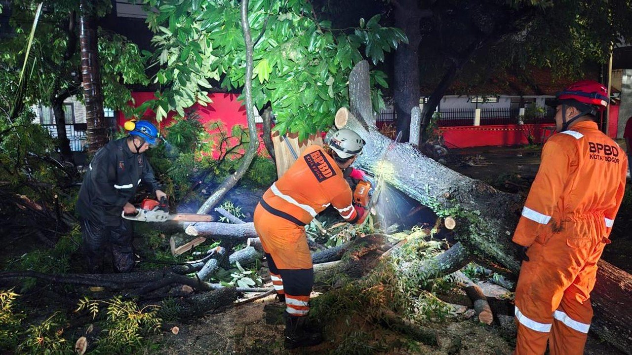 Pohon Tumbang Akibat Hujan di Bogor Timpa Pagar Sekolah dan Tutup Jalan