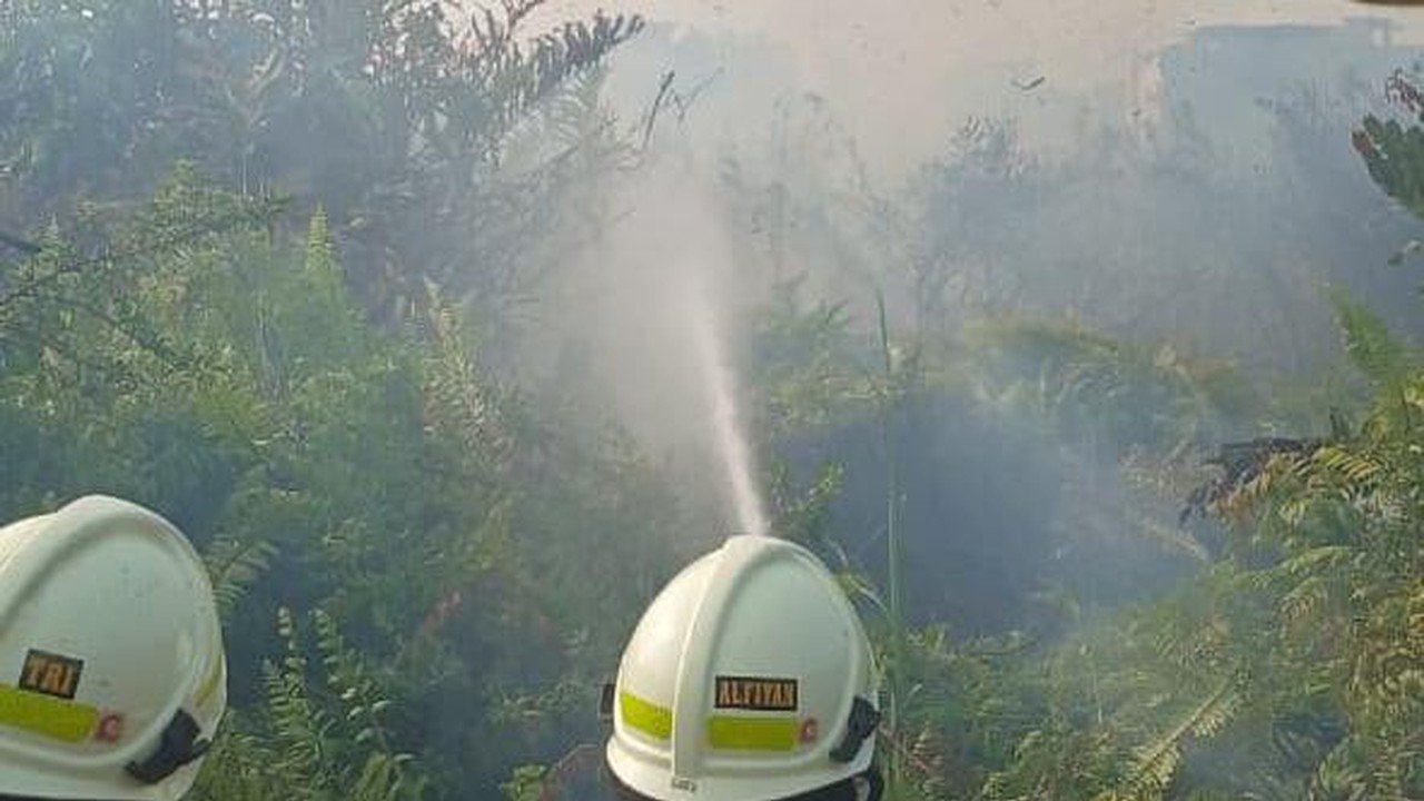 Puntung Rokok Picu Kebakaran 0,5 Hektare Lahan di Kampung Bandan