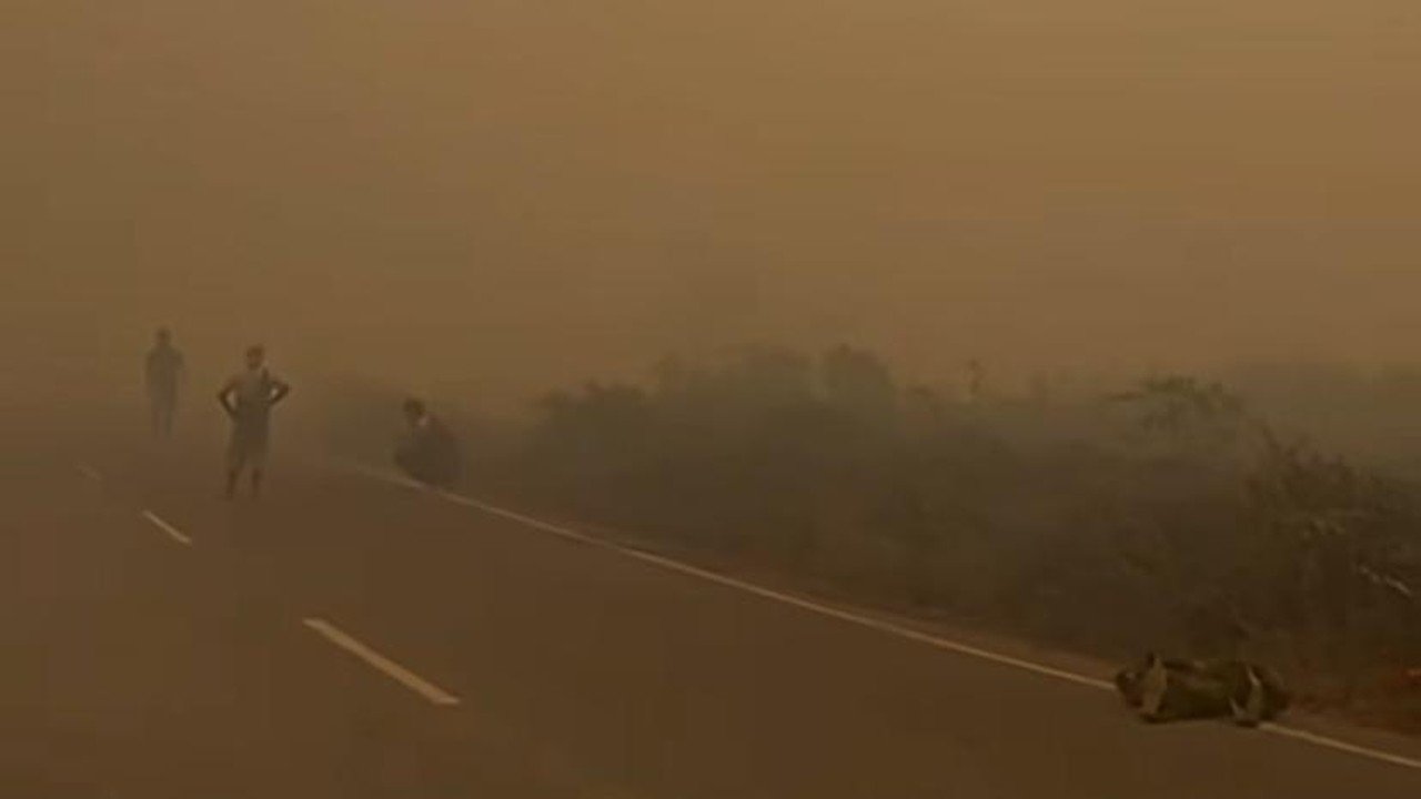Udara Kalteng-Kalsel Berbahaya Akibat Karhutla, KLH Imbau Warga Tetap di Dalam Ruangan
