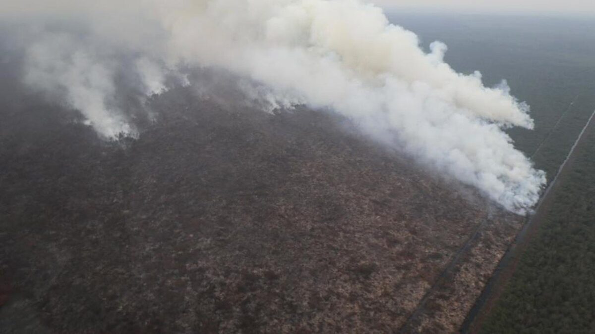 Kuliah Tetap Berjalan di Tengah Kabut Asap Karhutla, Ini Aturan dari Kemendikbudristek